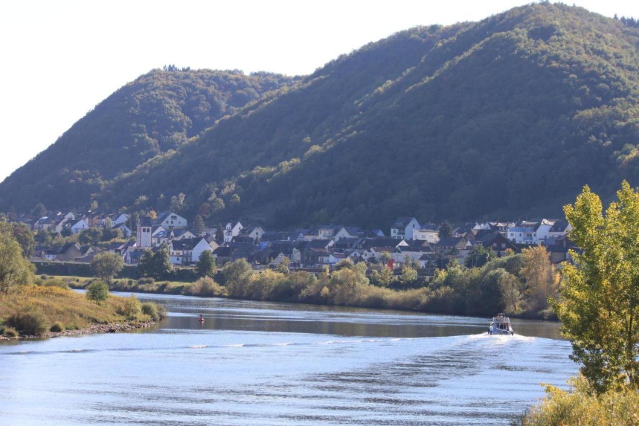 Ferienwohnung Moselliebe Lehmen Luaran gambar